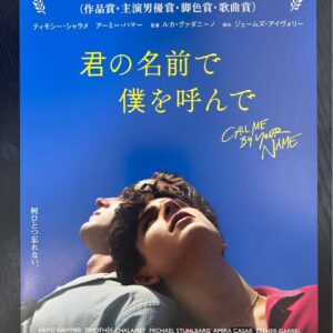 日本電影B5海報《以你的名字呼喚我》Japanese B5 Film Poster: Call Me by Your Name